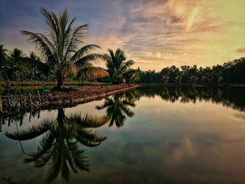 Palm trees by lake against sky during sunset