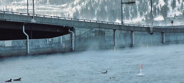 Fog on a floating bridge 