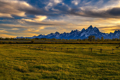 Scenic view of field against sky during sunset