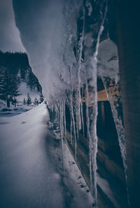 Icicles on snow covered mountain against sky