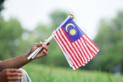 Cropped hands holding malaysian flags against trees