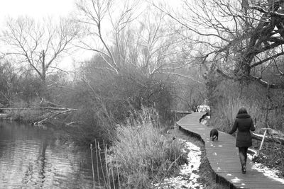 Rear view of people standing on riverbank against sky