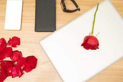 Close-up of red rose on table