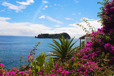 Scenic view of sea against blue sky