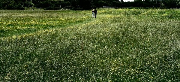People walking on grassy field