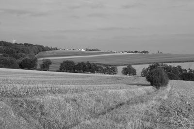 Scenic view of field against sky