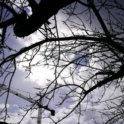 Low angle view of bare tree against sky