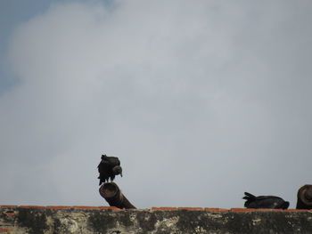 People photographing against sky