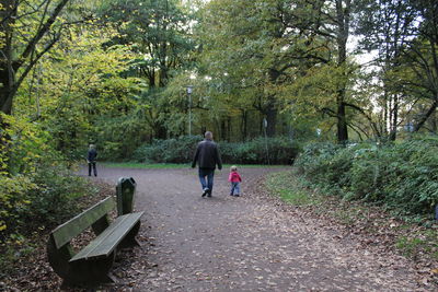 People walking on footpath in forest