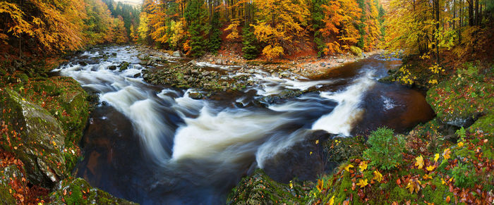 Stream flowing through rocks in forest