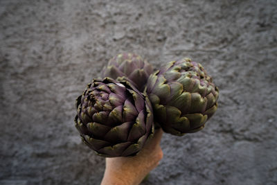 Cropped hand holding artichokes