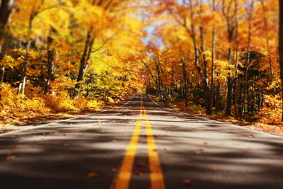 Empty road amidst orange trees on field during autumn