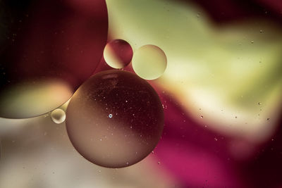 Close-up of water drops on multi colored background