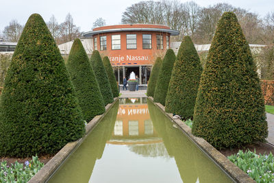 Pond in garden