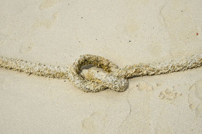 High angle view of messy rope on sand