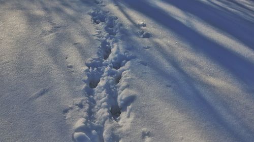 High angle view of footprints on snow covered field