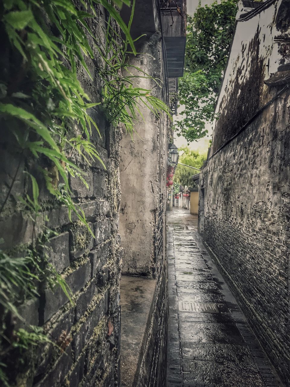 NARROW FOOTPATH AMIDST BUILDINGS