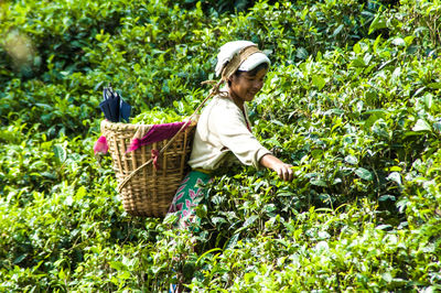 Woman working in basket