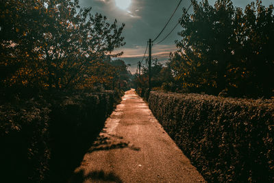 Road amidst trees on field against sky