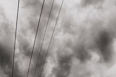 Low angle view of bird against sky