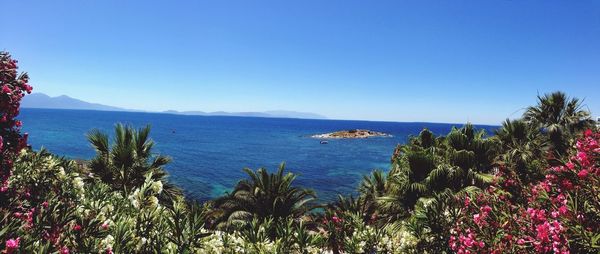 Scenic view of calm sea against clear sky