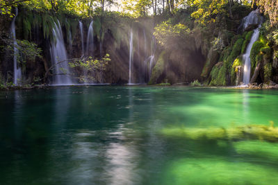 Scenic view of waterfall in forest