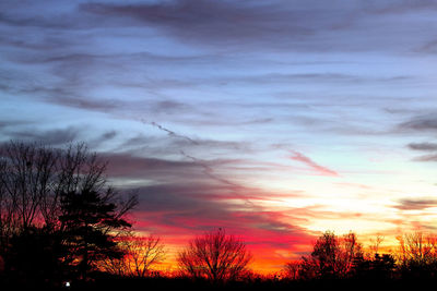 Silhouette trees against dramatic sky during sunset