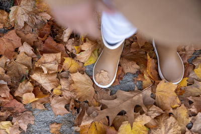 Low section of person standing on ground
