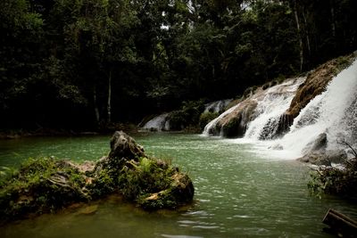 River flowing through forest