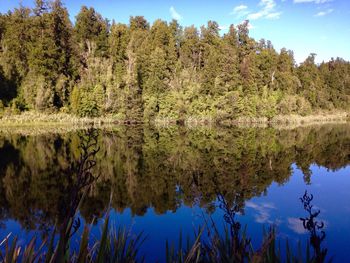 Reflection of trees in lake against sky