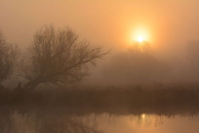 Silhouette trees by lake against sky during sunset