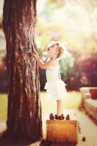 Full length of boy looking at tree trunk