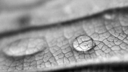 Macro shot of water drops on metal surface