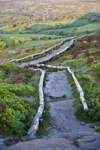 High angle view of footpath amidst field