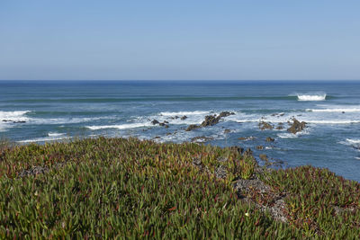 Scenic view of sea against clear sky