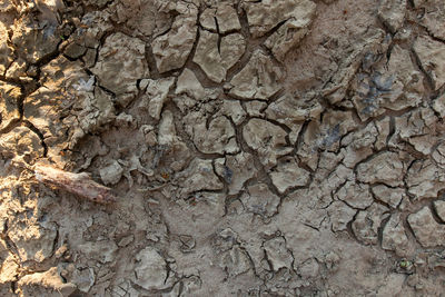 Full frame shot of cracked land