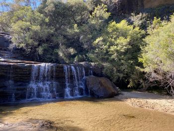 Scenic view of waterfall in forest