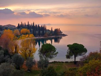 View of trees against cloudy sky during sunset