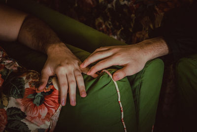 Close-up of hand touching flowers