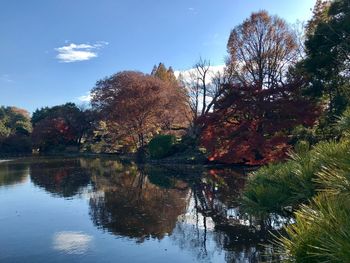 Reflection of trees in lake against sky during autumn