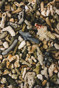 Full frame shot of pebbles