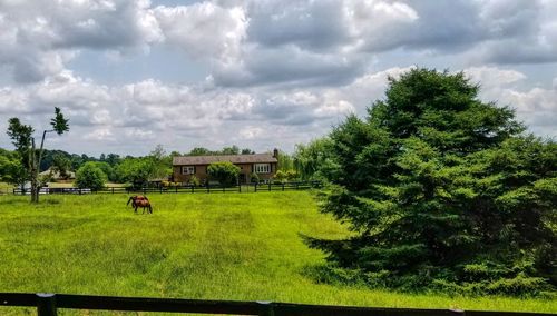 Trees and houses on field against sky