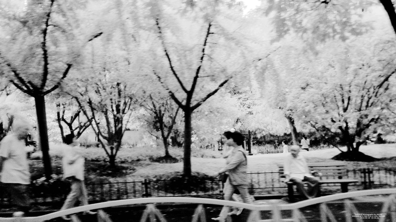 tree, real people, two people, men, leisure activity, walking, rear view, full length, day, lifestyles, togetherness, nature, women, outdoors, branch, vacations, adult, sky, people, adults only