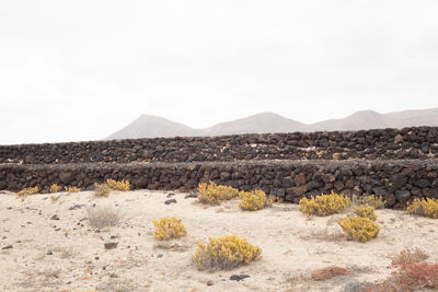 Scenic view of desert against sky