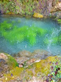 High angle view of rocks in lake