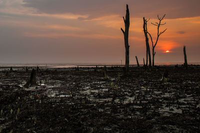 Scenic view of sunset over landscape