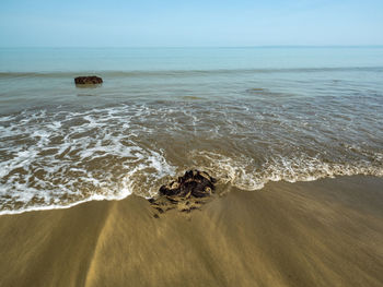 Bucks mill beach