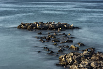 Scenic view of sea