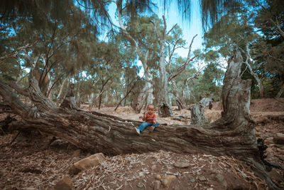 Rear view of man standing on rock