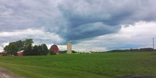 Trees on grassy field against cloudy sky